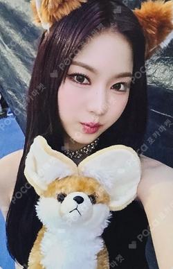 [S] APPLEMUSIC ISA photocard image