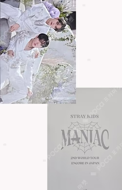 Stray Kids 2nd World Tour MANIAC ENCORE in JAPAN Random trading card