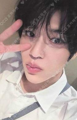 Steady KMS SION photocard image