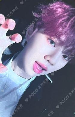 Un: SEEN SOUND WAVE PARKJIHOO photocard image