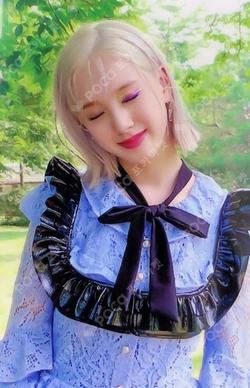 STEREOTYPE WITHDRAMA LUCKY DRAW J photocard image