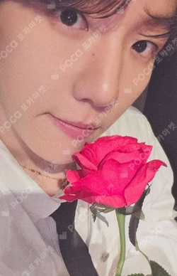 Essence of Reverie APPLEMUSIC LUCKY DRAW