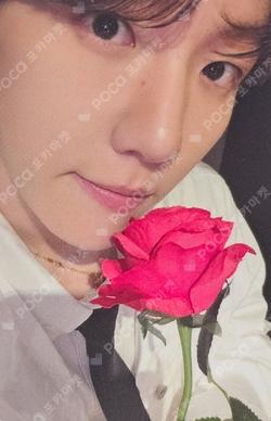 Essence of Reverie APPLEMUSIC LUCKY DRAW BAEKHYUN photocard image