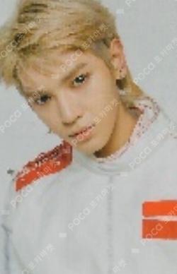 NCT 127 1ST TOUR NEO CITY : BANGKOK - The Origin ECO BAG & PHOTO CARD SET TAEYONG photocard image