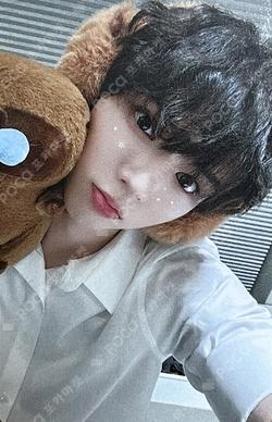 WILD&FREE MUSICART BRIAN photocard image