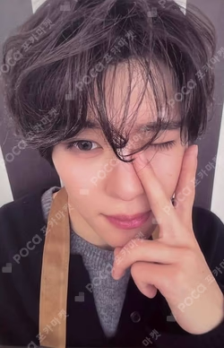 Steady KMS SION photocard image