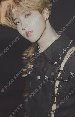 Stray Kids HAN photocard image