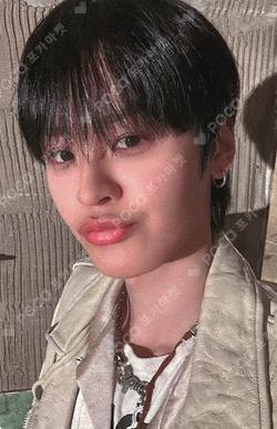 TEMPEST Voyage EVERLINE