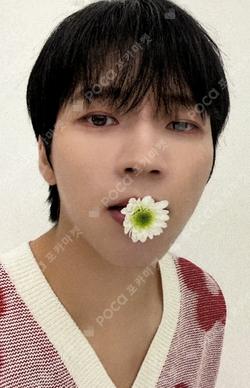 WHITREE EVERLINE LUCKY DRAW NamWooHyun photocard image