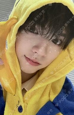 WILD&FREE SOUND WAVE