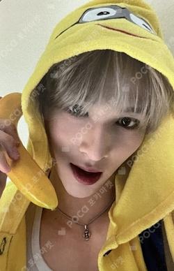 WILD&FREE SOUND WAVE