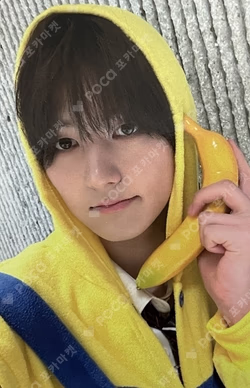 WILD&FREE SOUND WAVE