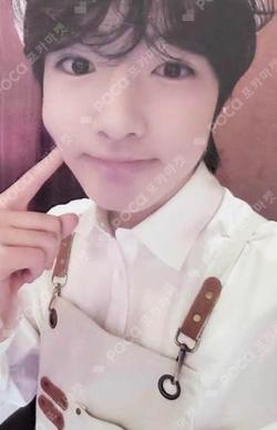 Steady KMS SAKUYA photocard image