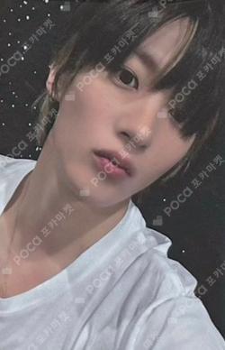 RIIZE ANTON photocard image