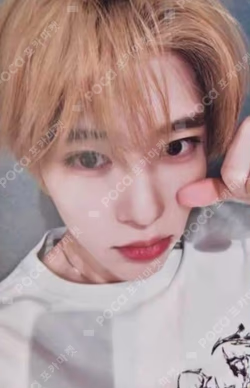 poppop KMS SION photocard image