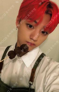 FLEX LINE ARAISE CHOIWOOJIN photocard image