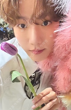 2025 BAEKHYUN WORLD TOUR [Reverie] in SEOUL