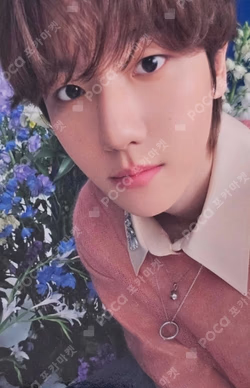 2025 BAEKHYUN WORLD TOUR [Reverie] TRUCKER CAP BAEKHYUN photocard image