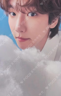 2025 BAEKHYUN WORLD TOUR [Reverie] T-SHIRT