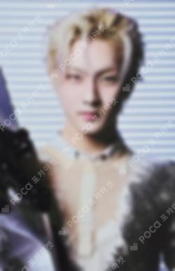 DESIRE : UNLEASH APPLEMUSIC JUNGWON photocard image