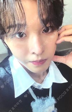 Steady KMS RIKU photocard image