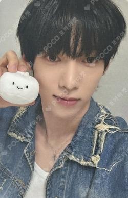 WILD&FREE EVERLINE KAMDEN photocard image