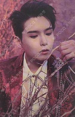 A Wild Rose SM STORE RYEOWOOK photocard image
