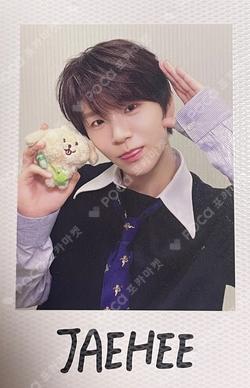 LET’S GO STEADY POUCH + POLAROID SET