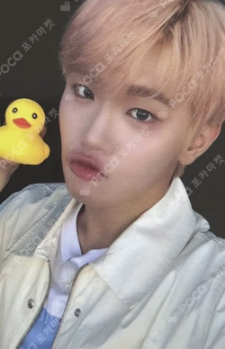 CINEMA PARADISE SOUND WAVE