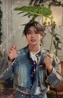 Han Hollow Limited A Concept