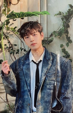 Pocamarket, Stray Kids SEUNGMIN Hollow LIMITED A K-pop Photocard