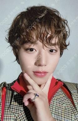 My Collection realism ver. PARK JI HOON photocard image