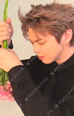 Glow to Haze KANG DANIEL photocard image