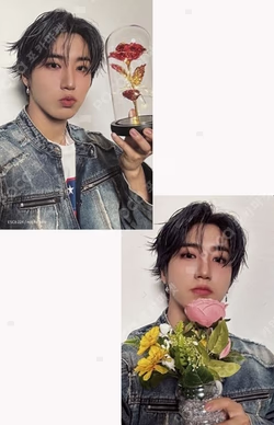 Han Hollow Fanclub Concept