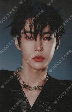 Fact Check PAPER FRESHENER + TINCASE DOYOUNG photocard image