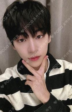 2024 DRIPPIN 1st FANMEETING in Tokyo [DRIPPIN with DREAMIN] KIMDONGYUN photocard image