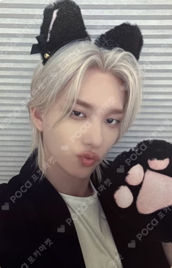 DUH! MUSICART THEO photocard image