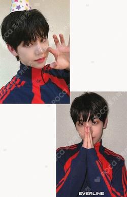 Beautiful MAZE EVERLINE WINNER