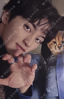 The Firstfruit THE FIRSTFRUIT CUP SET MARK photocard image