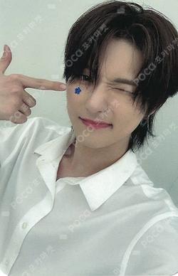 WILD&FREE Starlike Music SEUNGMO photocard image