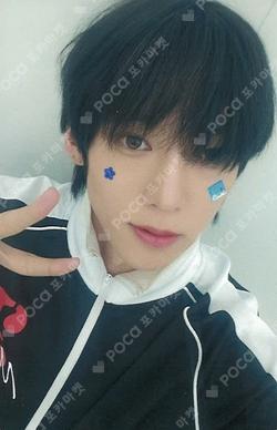 WILD&FREE Starlike Music KAMDEN photocard image
