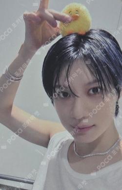 GGUNG DAENG POP-UP STORE [LOVE BLOSSOM] REWARD TAEMIN photocard image