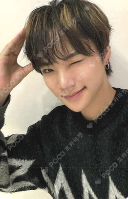 WILD&FREE Starlike Music