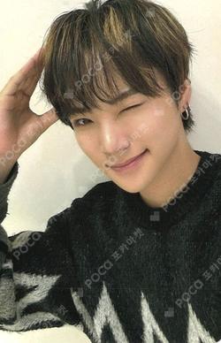 WILD&FREE Starlike Music SIYUN photocard image