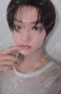 Dare to Crave 0 ver. TAEYOUNG photocard image