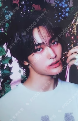 Dare to Crave STARSHIPSQUARE TAEYOUNG photocard image