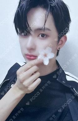 UNDENIABLE FANPLEE LINGQI photocard image