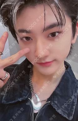 UNDENIABLE DEAR MY MUSE