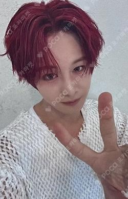 UNDENIABLE MUSICART HIKARI photocard image