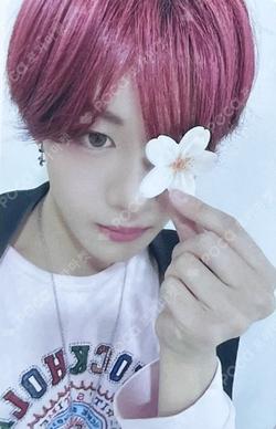 UNDENIABLE FANPLEE HIKARI photocard image
